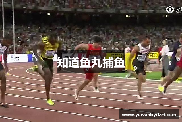 知道鱼丸捕鱼